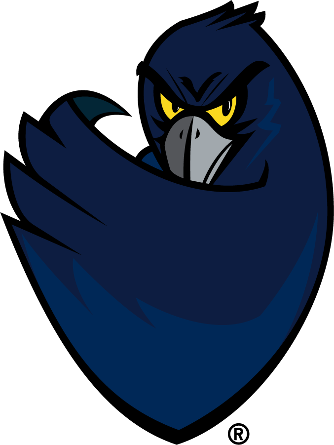 Monmouth Hawks 2003-2014 Secondary Logo iron on transfers for T-shirts